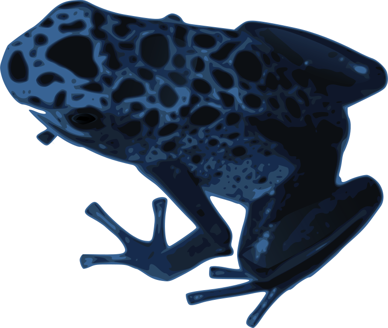 ben_Azureus_frog