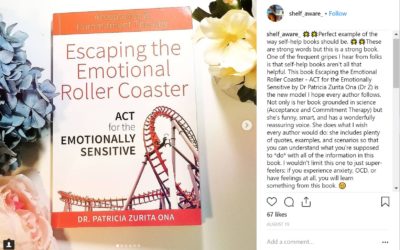 Read a review of Escaping the Emotional Rollercoaster  (